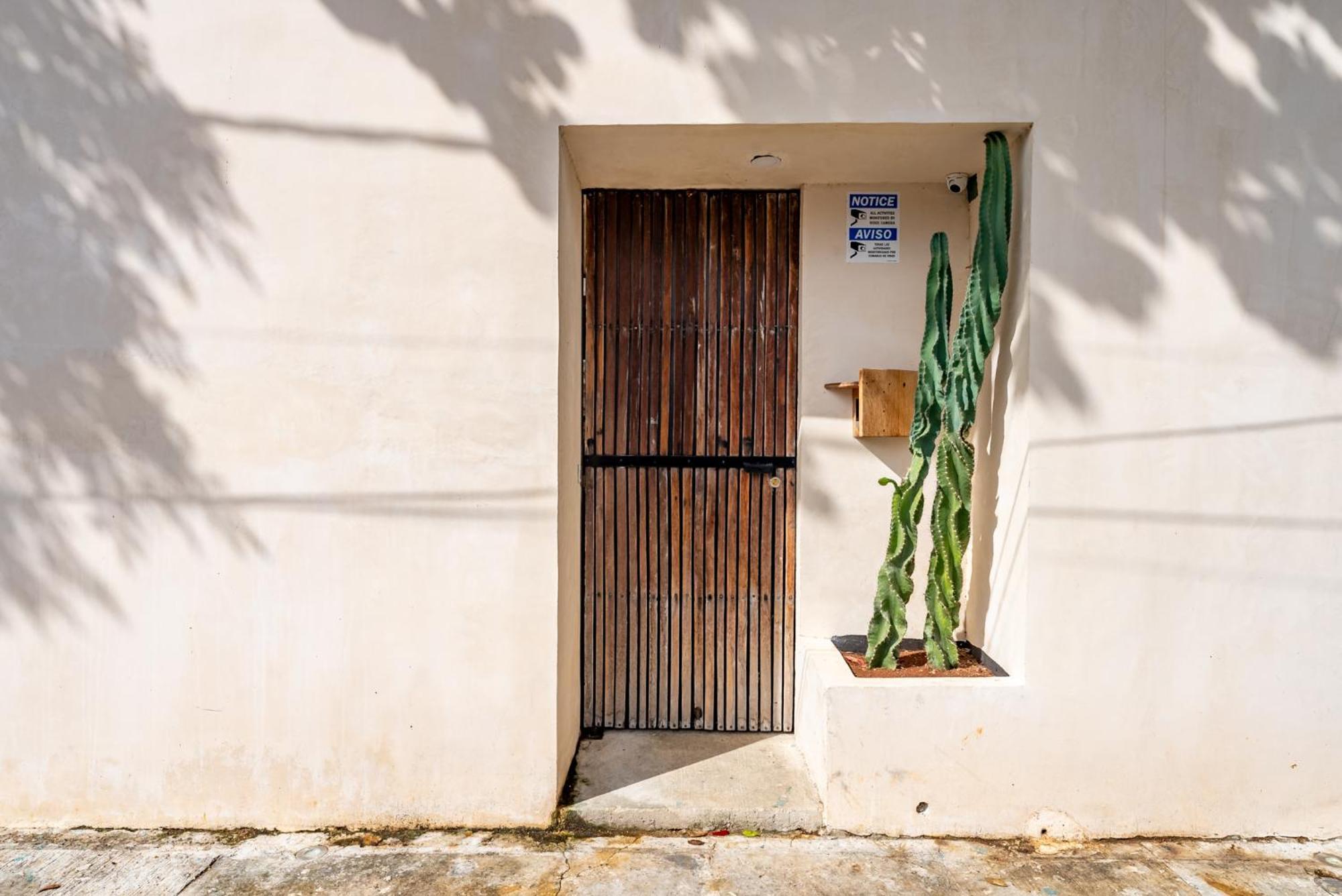 Casa Jicama Cancún Exterior foto